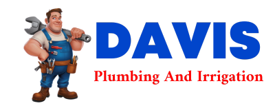 Trusted plumber in CADOTT